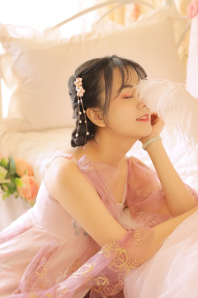 借枪电视剧